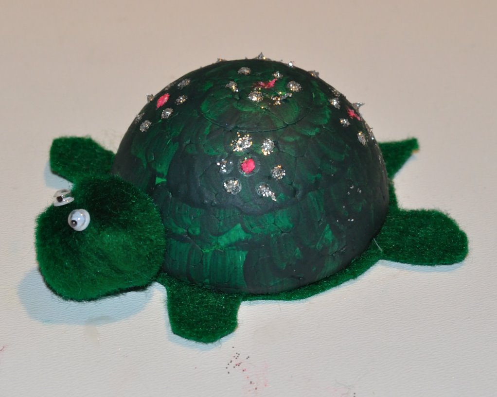 turtle